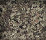 Apple Green Granitfliesen, Granitplatten, indischer Granitstein