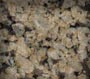 Raniwara Yellow Indian Granite Sample